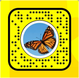 Unlock the Butterflies Lens on Snapchat
